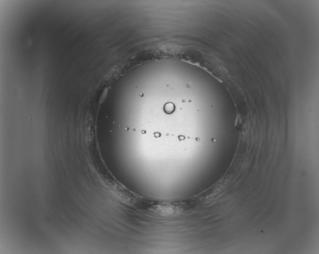 X0000070380464200606161348