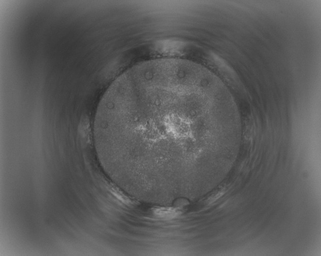 X0000070380465200606161348