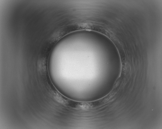 X0000070380466200606161348