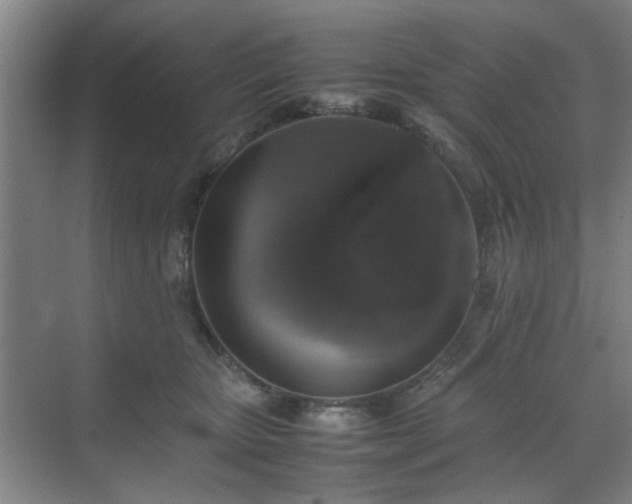 X0000070380467200606161348