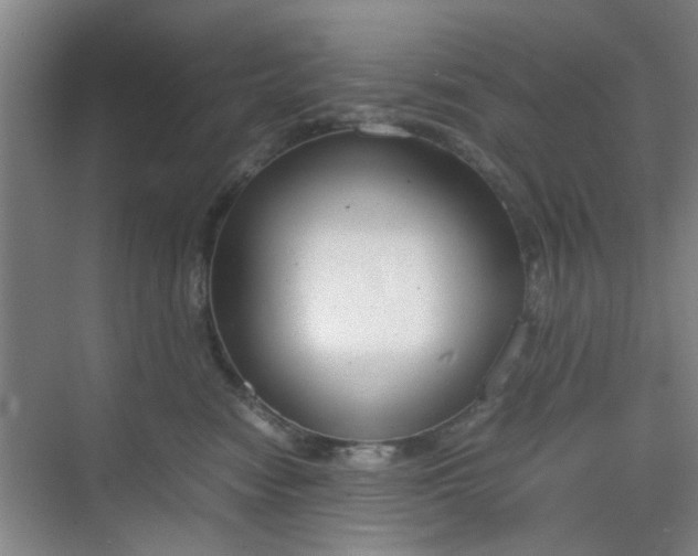 X0000070380474200606161348