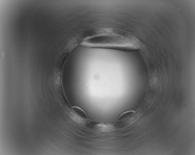 X0000070380477200606161349