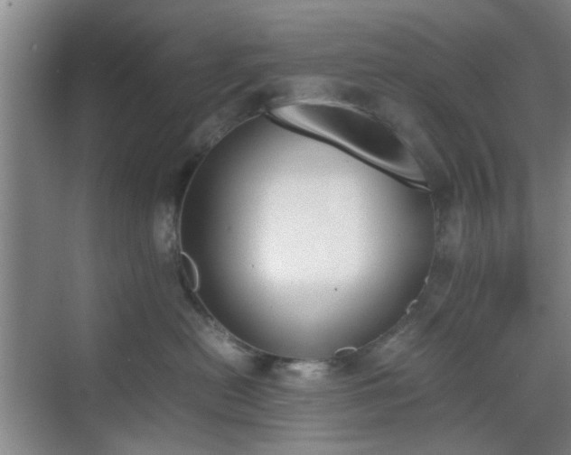 X0000070380478200606161349