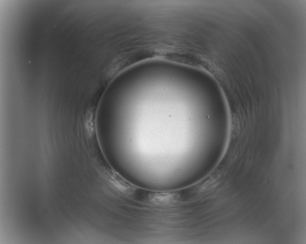 X0000070380479200606161349