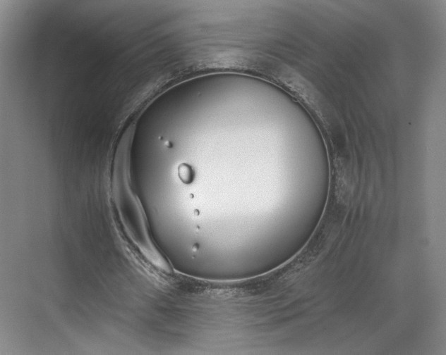 X0000070380482200606161348