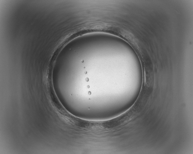 X0000070380483200606161348