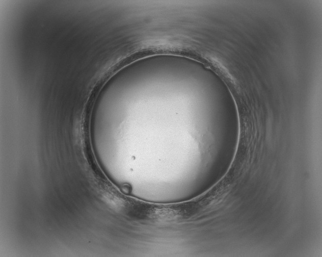 X0000070380487200606161348