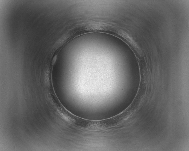 X0000070380489200606161348