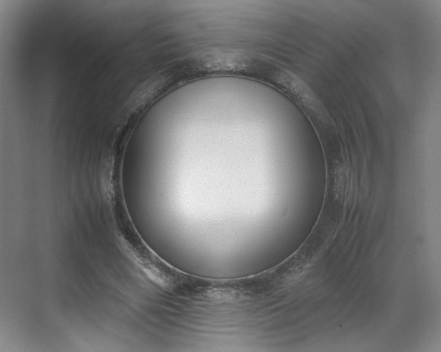 X0000070380490200606161348