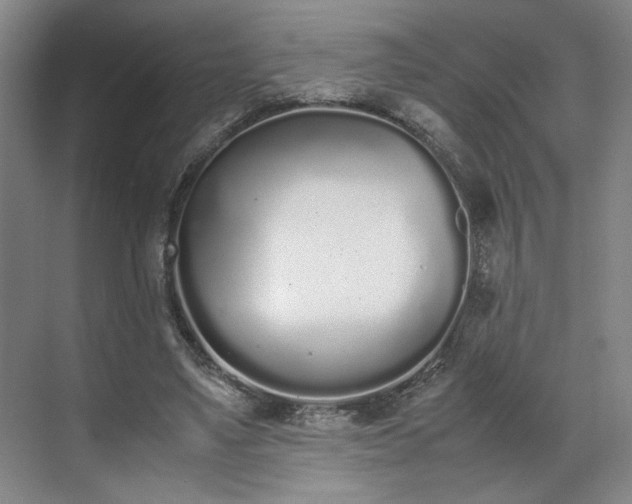 X0000070380491200606161348