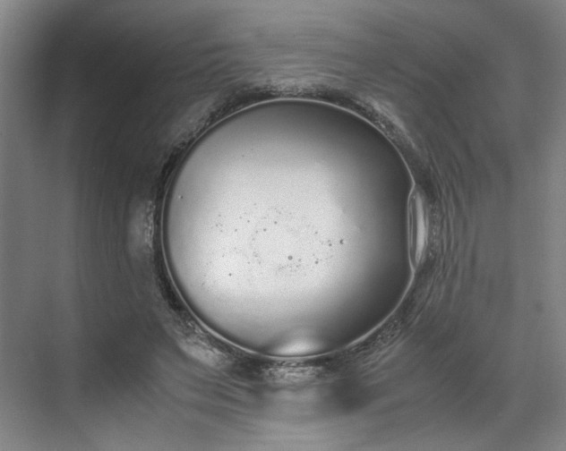 X0000070380495200606161348