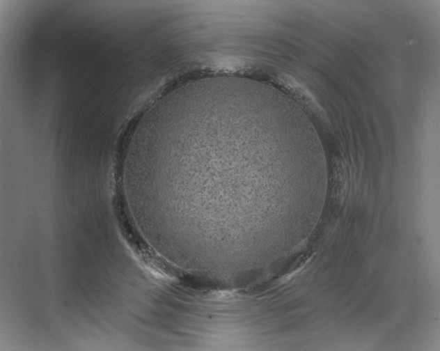 X0000070380496200606161348