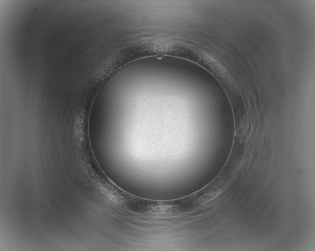 X0000070380497200606161347