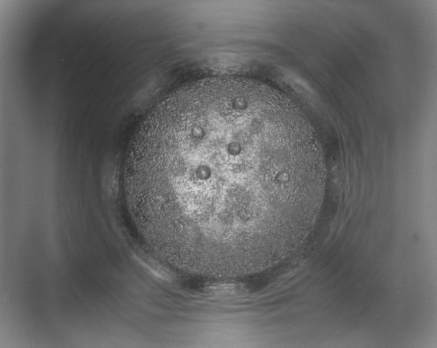 X0000070380499200606161347