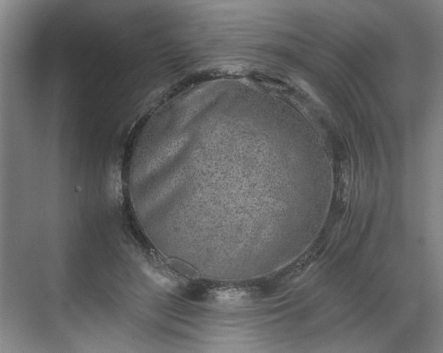 X0000070380500200606161347