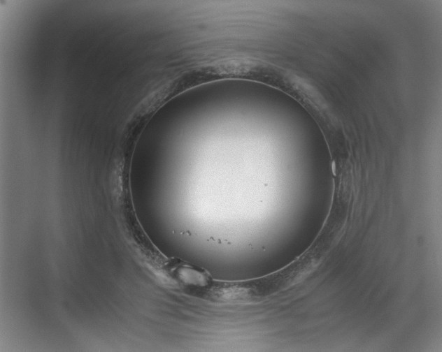 X0000070380501200606161347