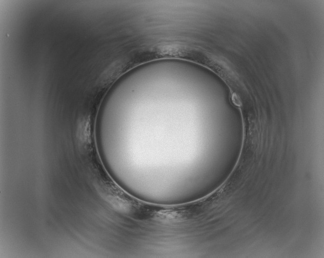 X0000070380502200606161347