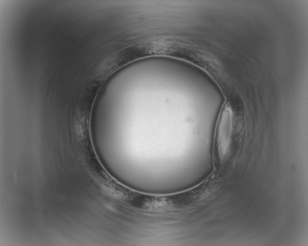 X0000070380503200606161347