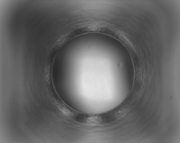 X0000070380505200606161347