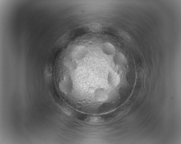 X0000070380507200606161347