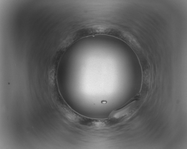 X0000070380509200606161347