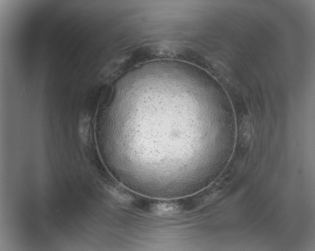 X0000070380511200606161347