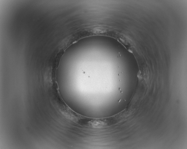 X0000070380512200606161347