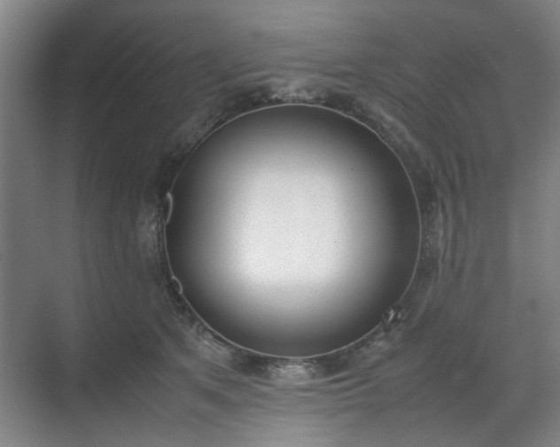 X0000070380513200606161347