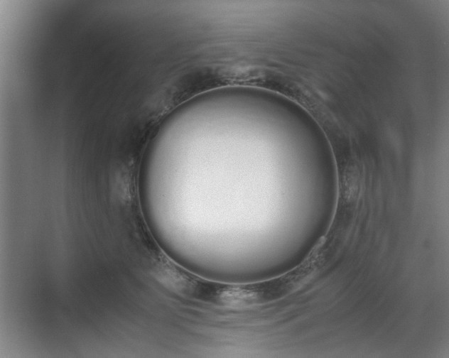 X0000070380515200606161347