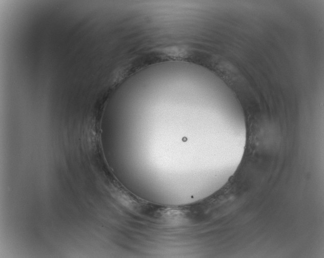 X0000070380518200606161347