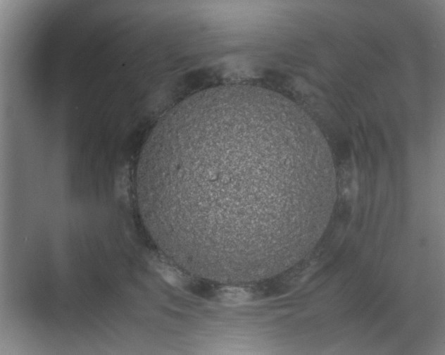 X0000070380519200606161347