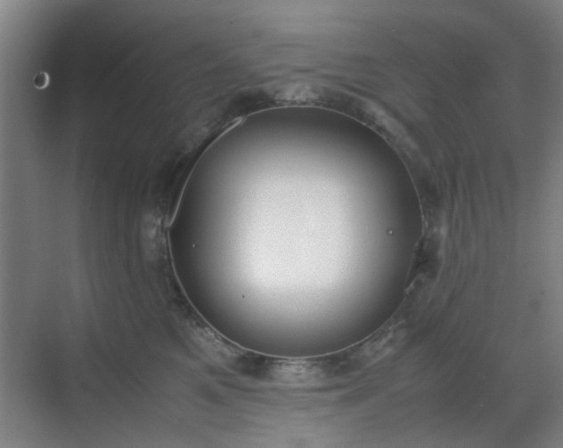 X0000070380521200606161347