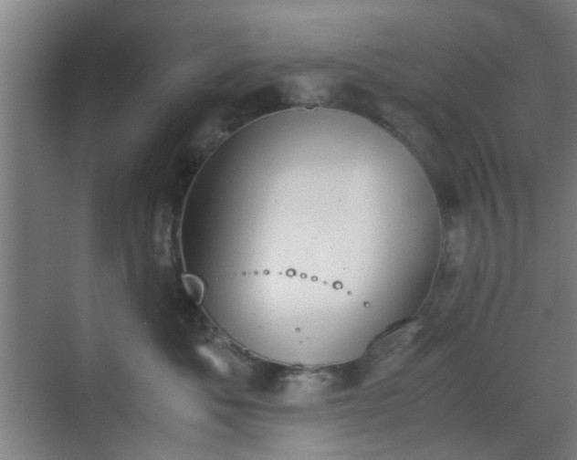 X0000070380525200606161347