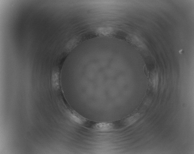 X0000070380526200606161347