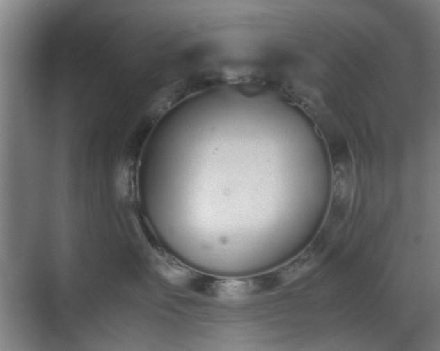 X0000070380527200606161347