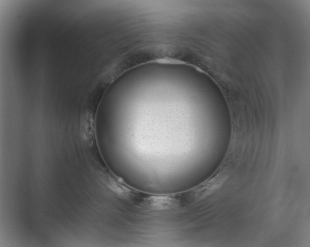 X0000070380528200606161347