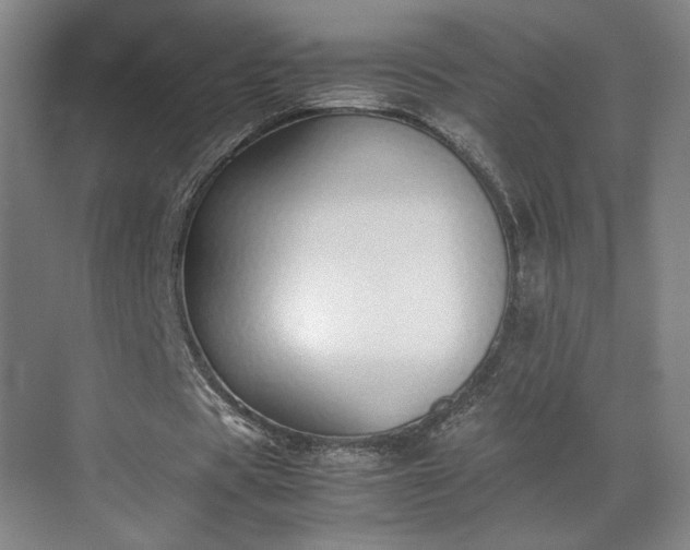 X0000070380529200606161346