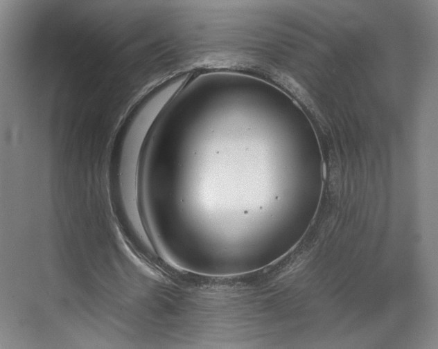 X0000070380530200606161346