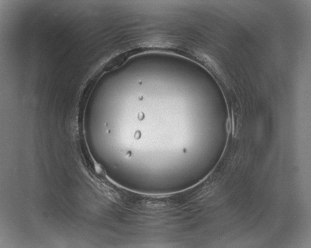 X0000070380531200606161346