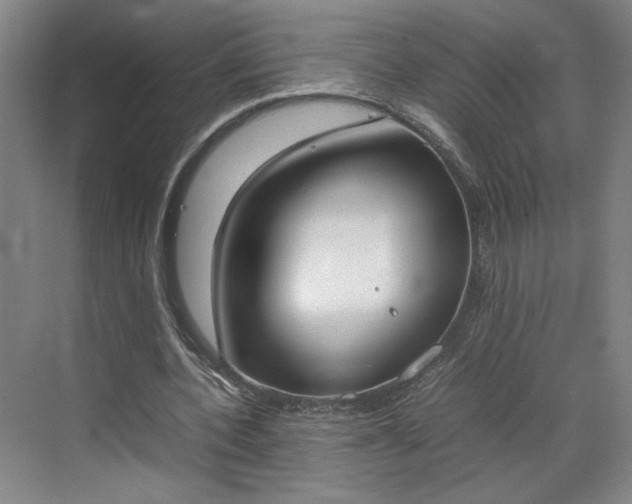 X0000070380532200606161346