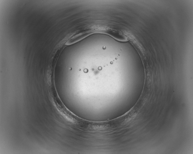 X0000070380533200606161346