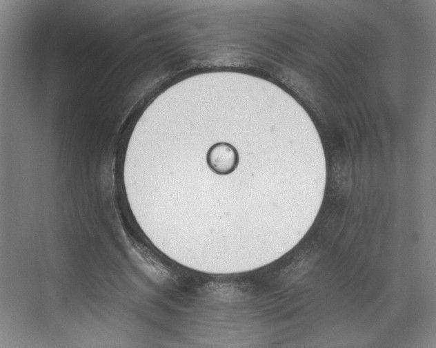 X0000070380534200606161346