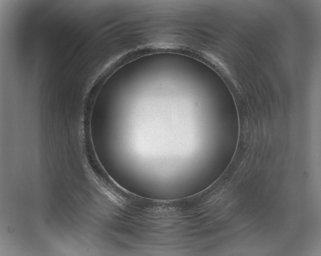 X0000070380535200606161346