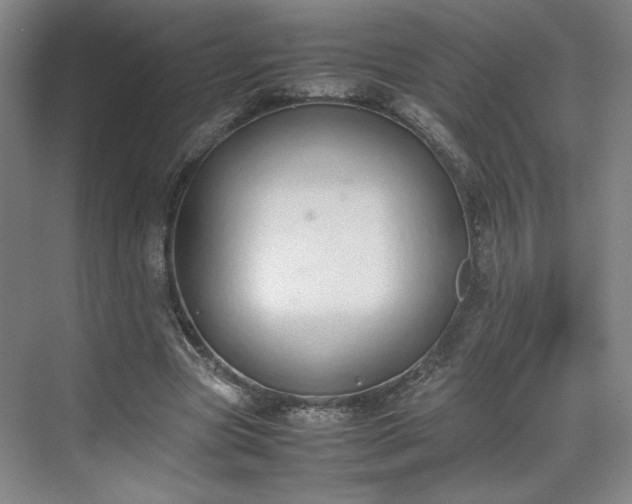 X0000070380537200606161346