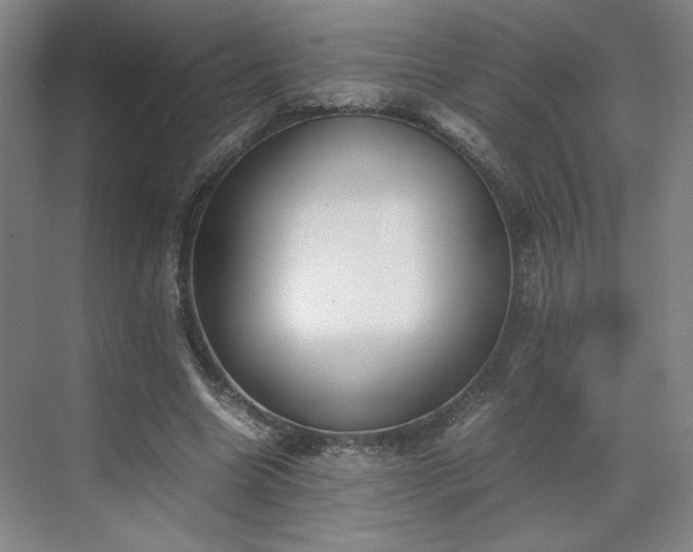 X0000070380538200606161346