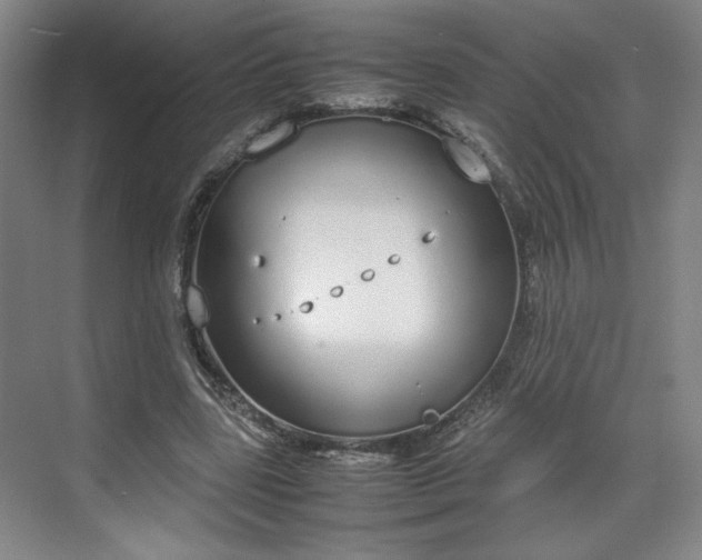 X0000070380539200606161346