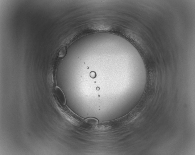 X0000070380541200606161346