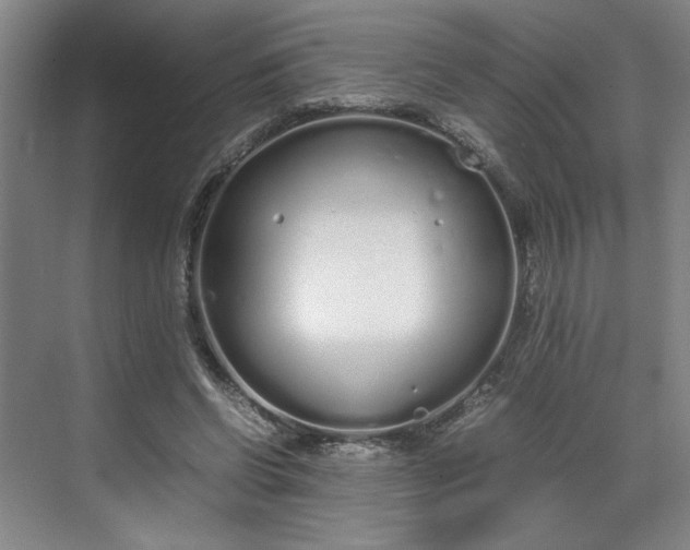 X0000070380542200606161346