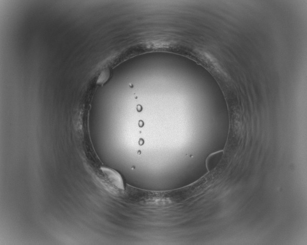 X0000070380543200606161346