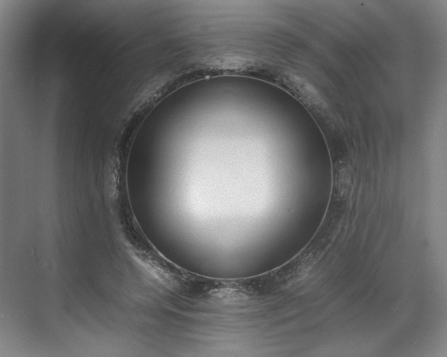 X0000070380544200606161346